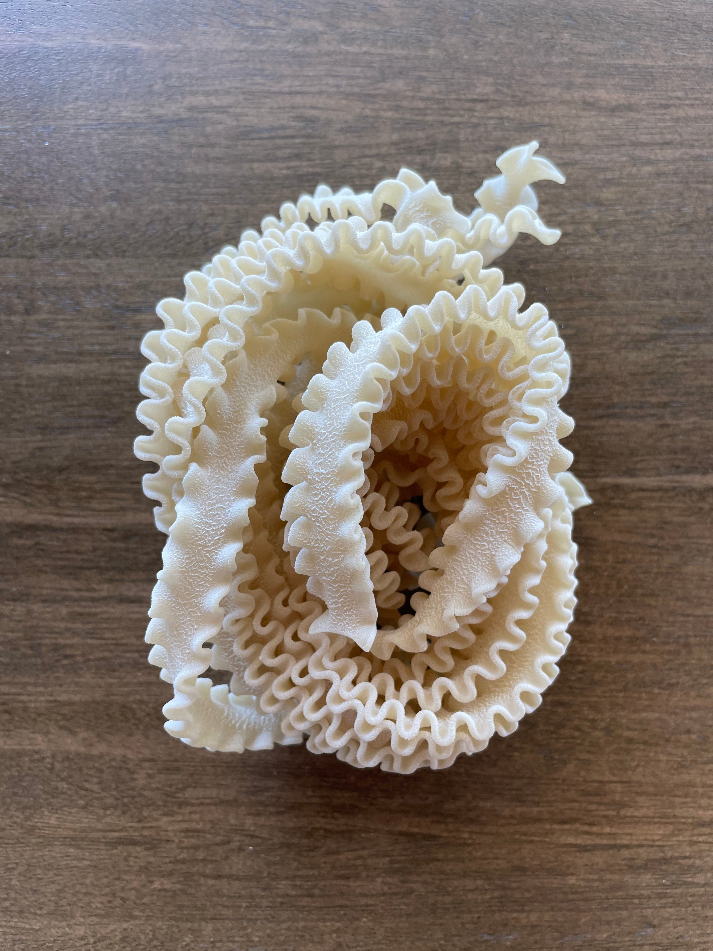 Extruded and HandRolled Pasta Stracci